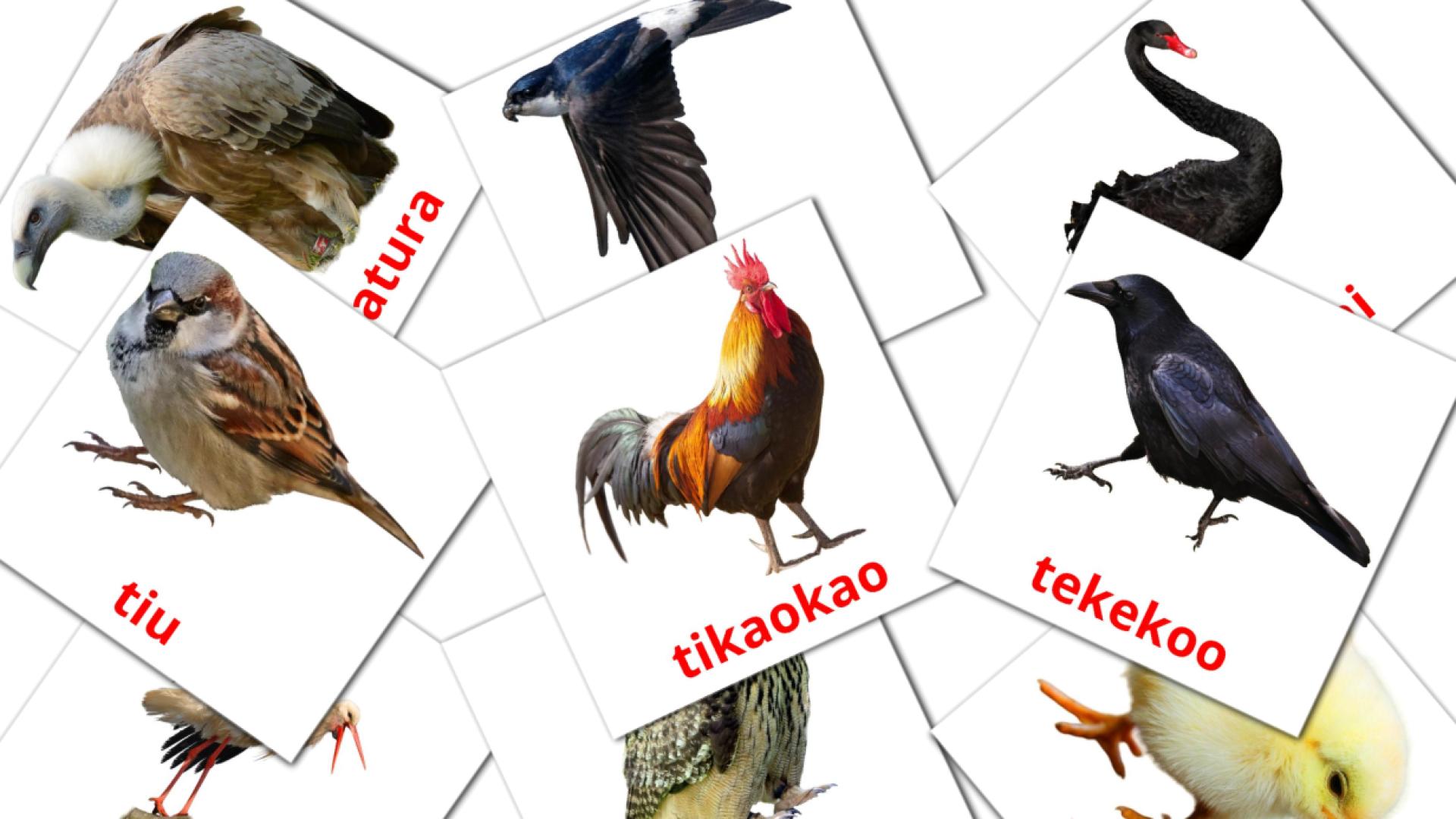 maorí tarjetas de vocabulario en Manu