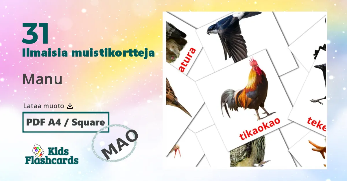 Manu – lasten kuvakortit maoriksi sanastoon