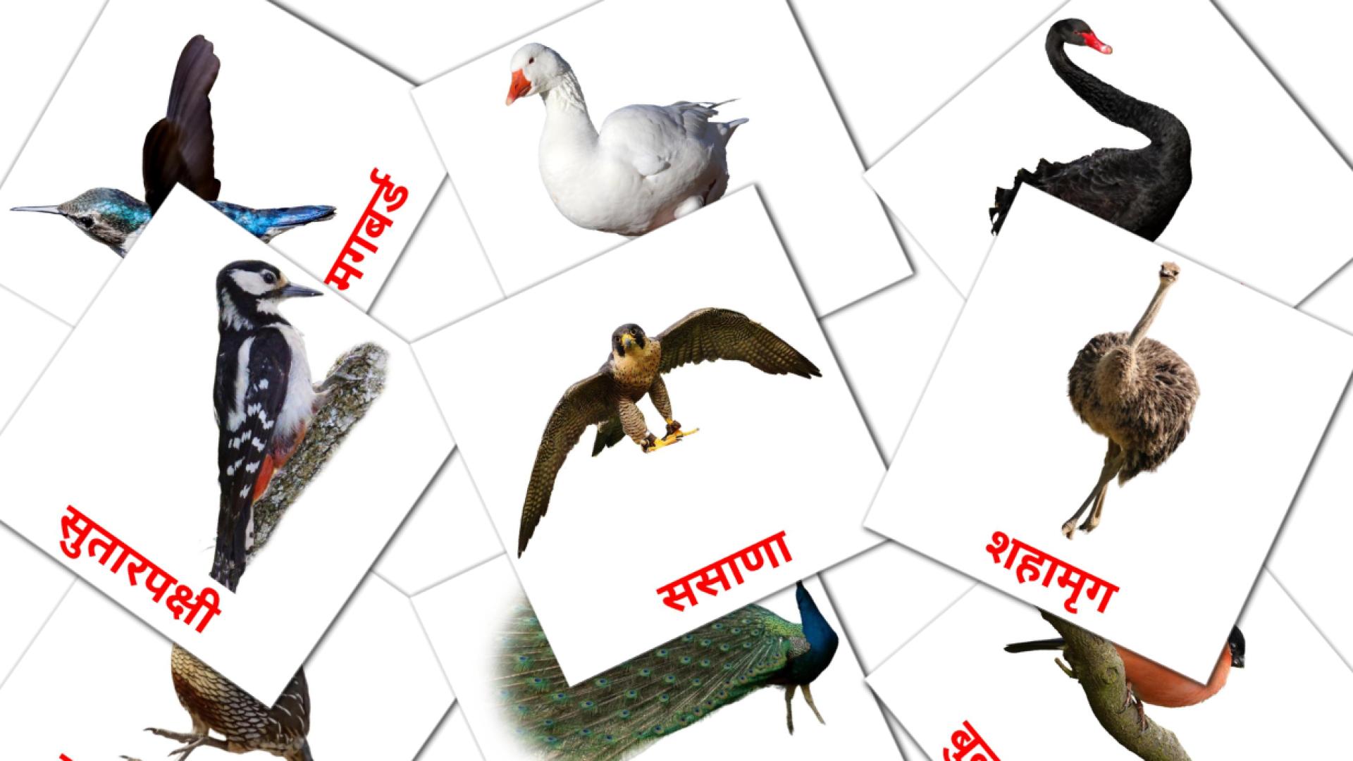 Fiches de vocabulaire marathies sur पक्षी