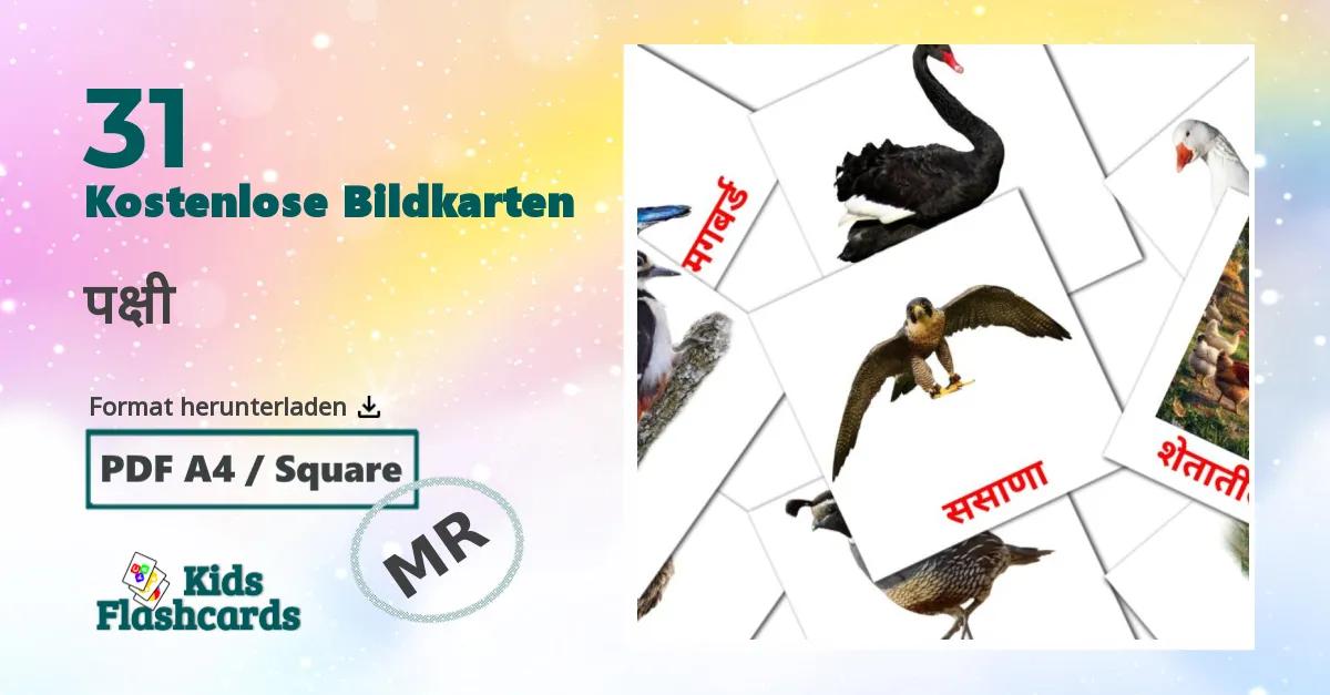 Bildkarten für Vögel