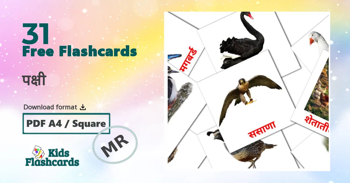 पक्षी marathi vocabulary flashcards