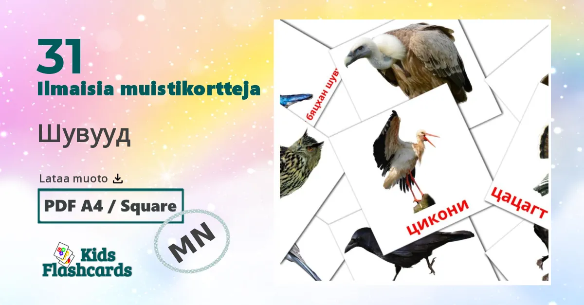 31 Шувууд lasten kuvakortit