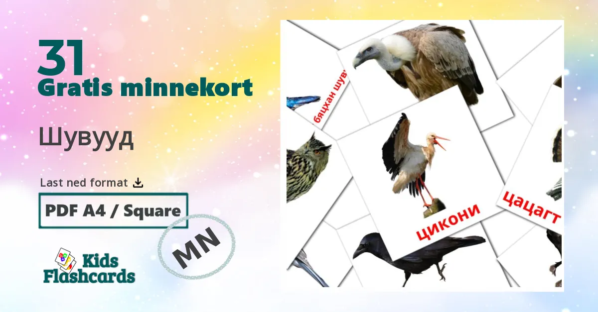 Шувууд bildekort for barn på mongolsk