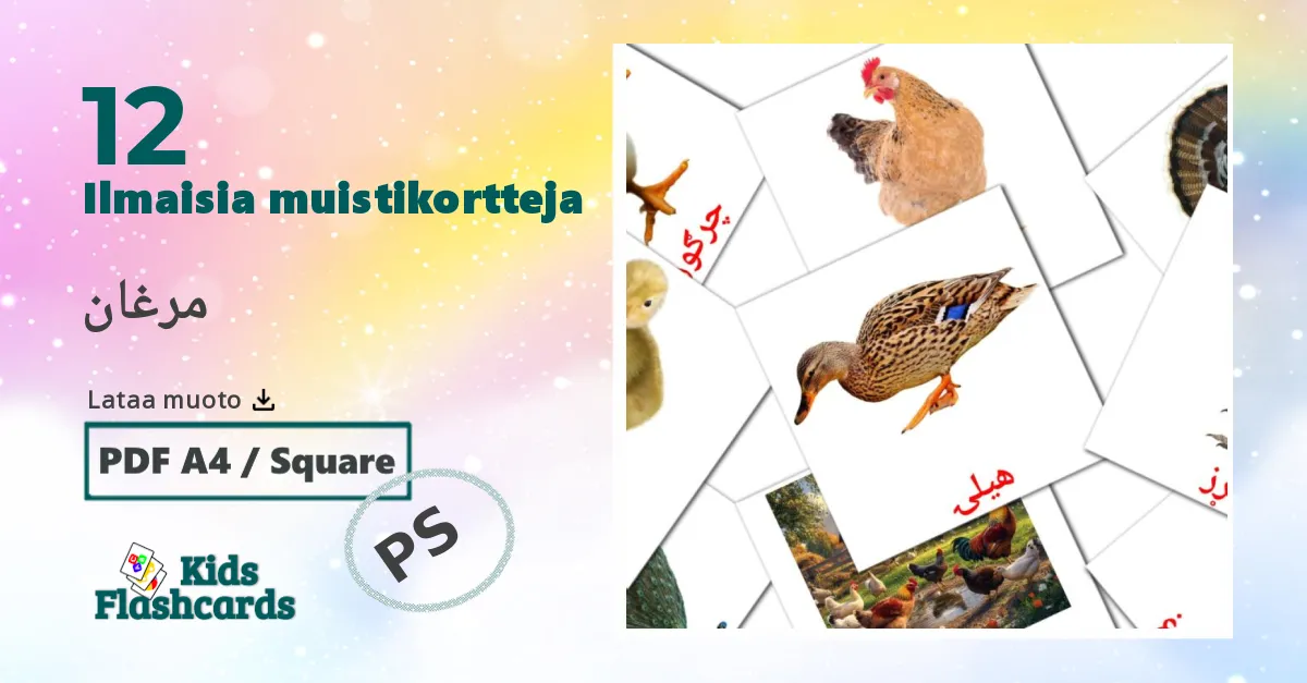 Linnut lasten kuvakortit