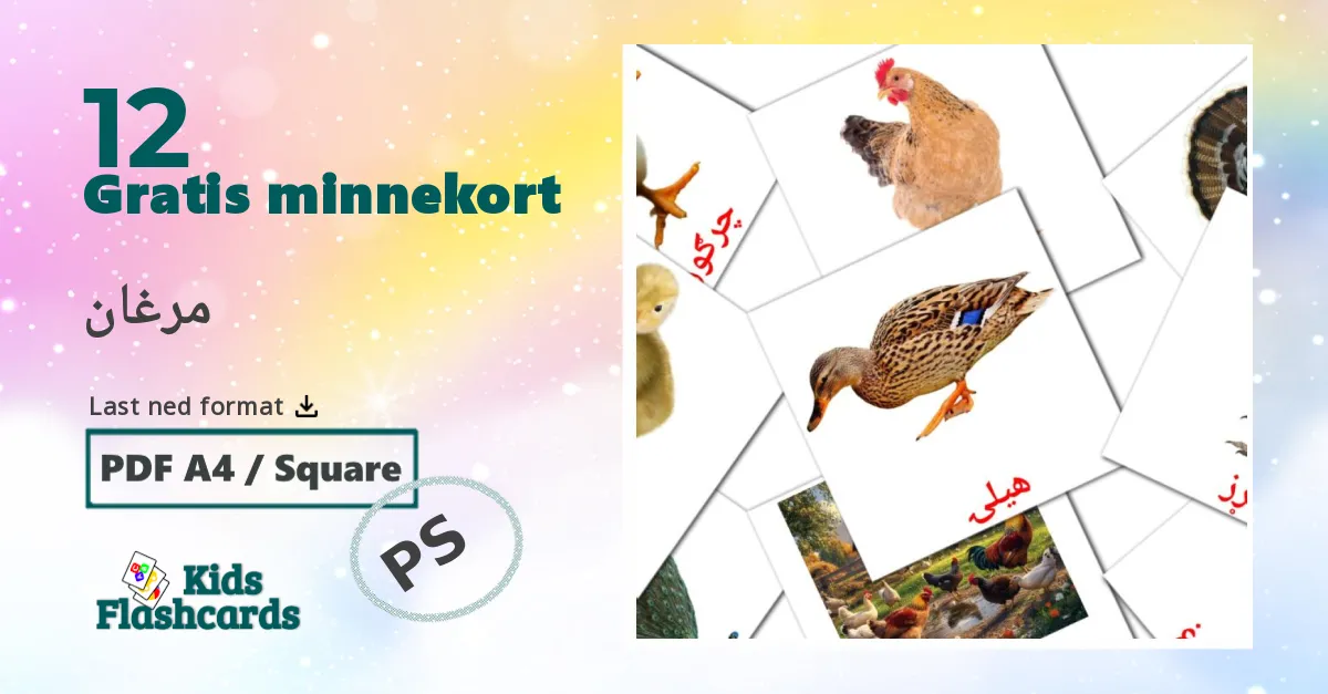 Fugler bildekort