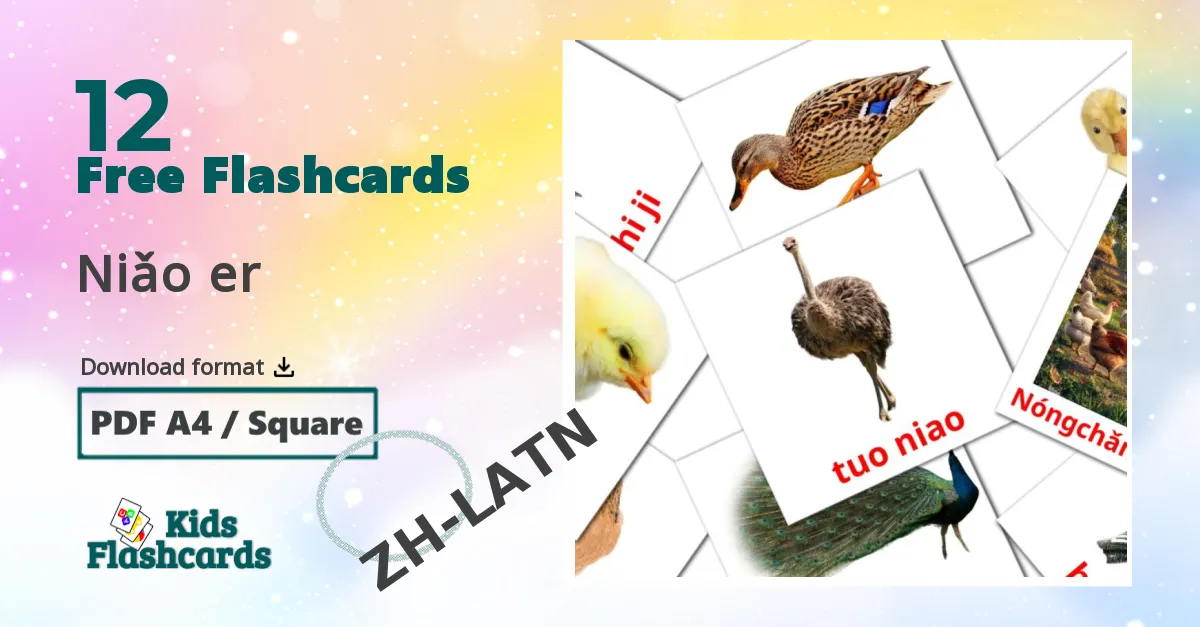 Niǎo er pinyin vocabulary flashcards