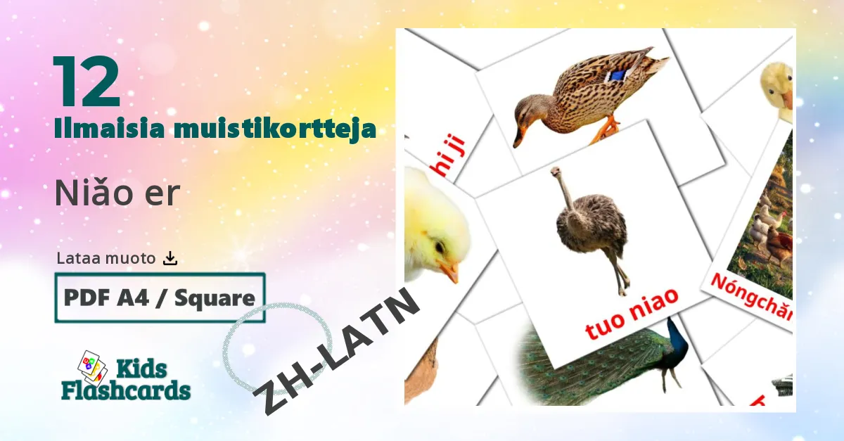 Niǎo er – lasten kuvakortit pinyinksi sanastoon