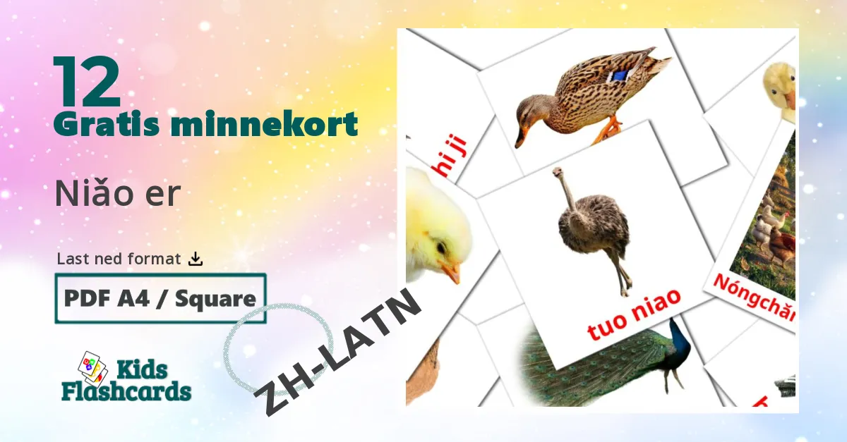 Niǎo er bildekort for barn på pinyin