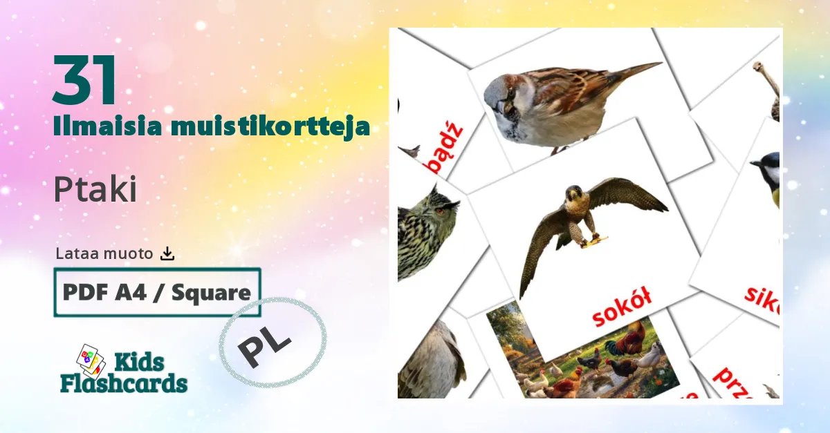 Ptaki – lasten kuvakortit puolanksi sanastoon
