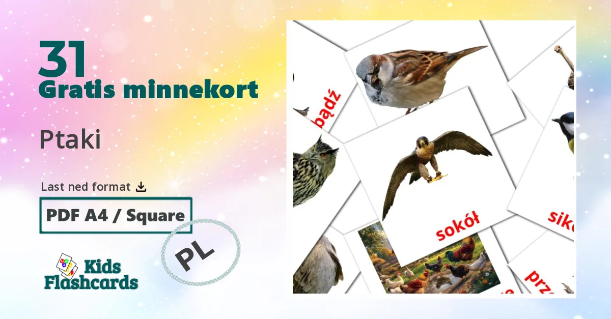 Ptaki bildekort for barn på polsk
