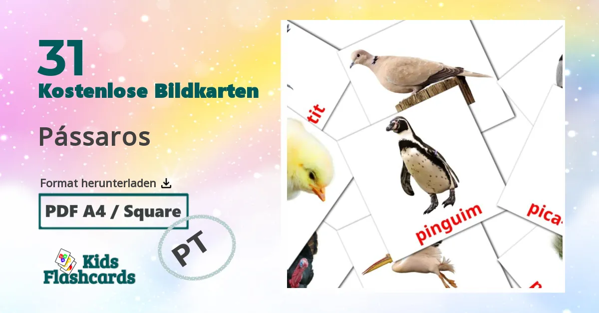 Bildkarten für Vögel