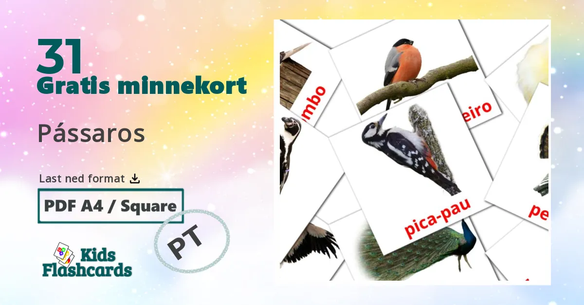 Pássaros bildekort for barn på portuguese
