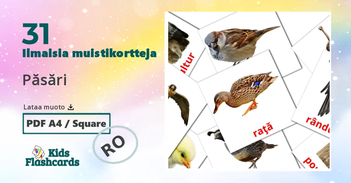 Păsări – lasten kuvakortit romanianksi sanastoon