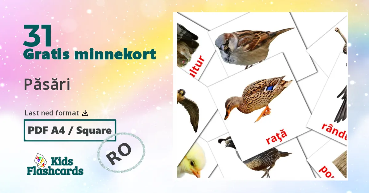 Păsări bildekort for barn på rumensk