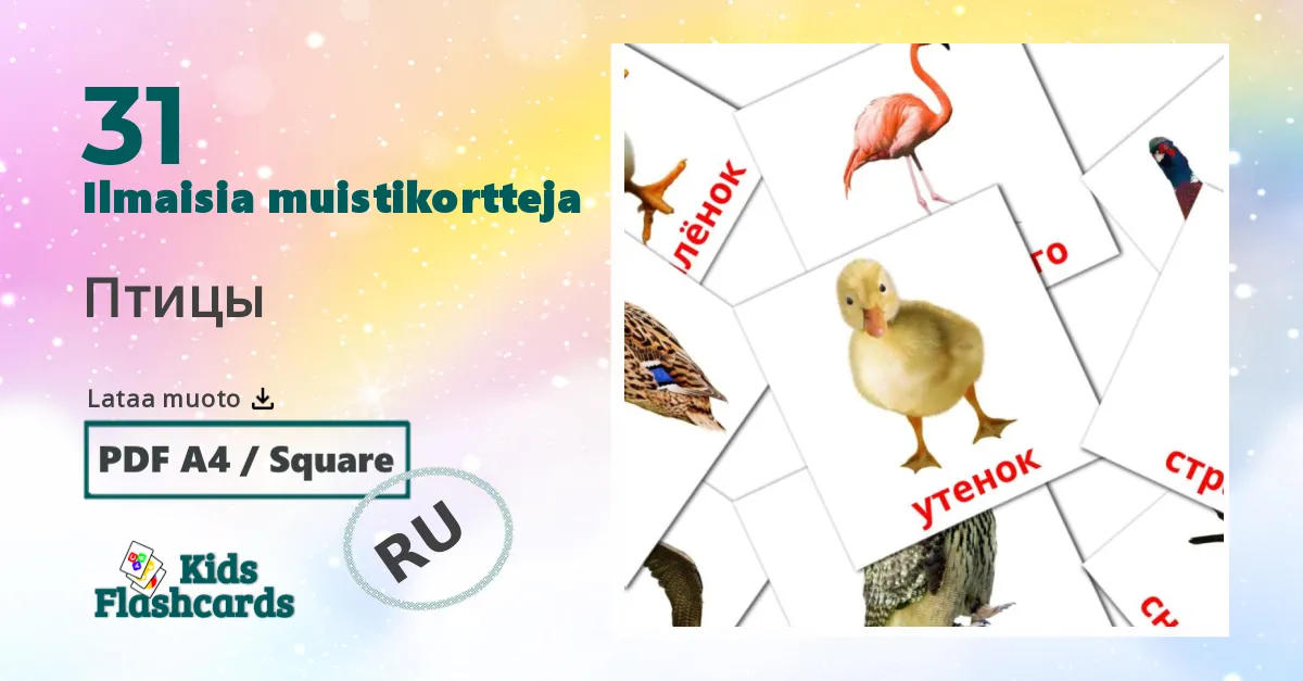 Птицы – lasten kuvakortit venäjänksi sanastoon