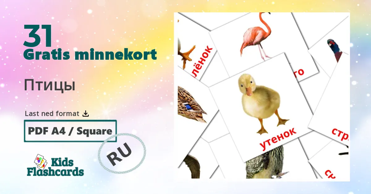 Птицы bildekort for barn på russisk