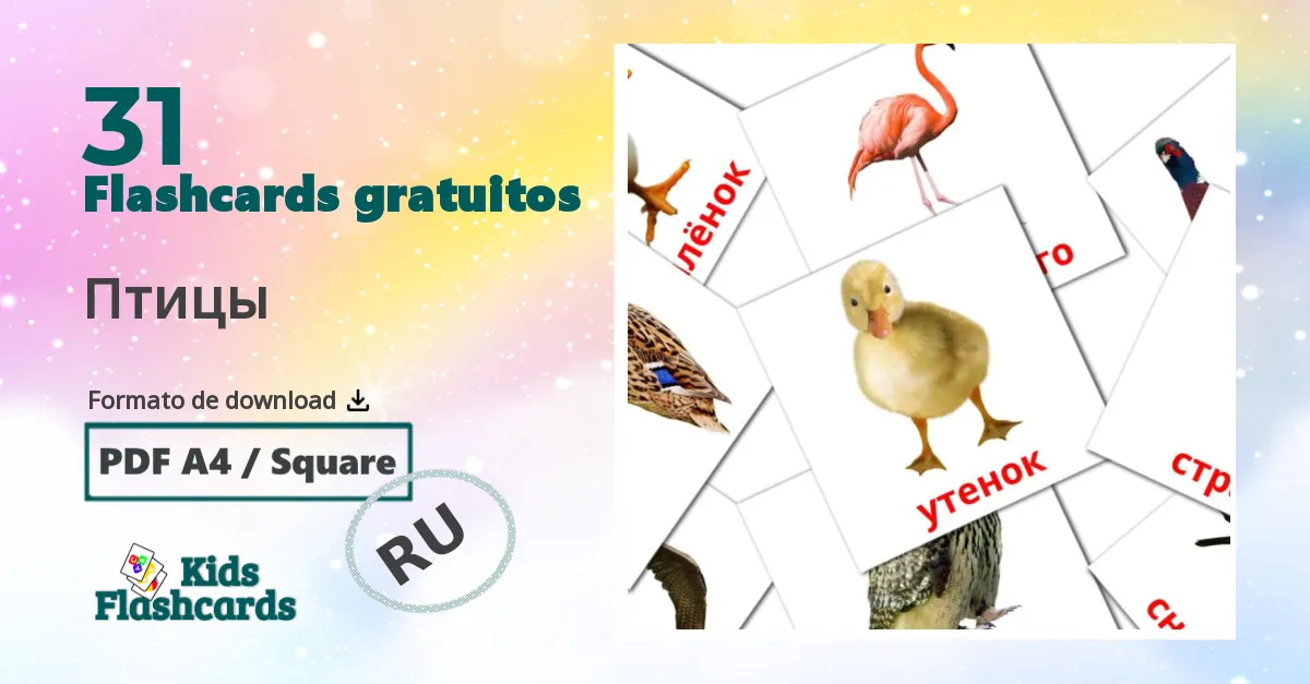 Flashcards de Pássaros