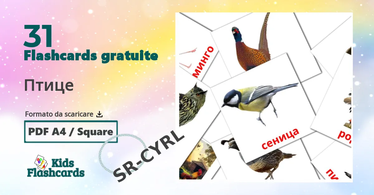 Птице Flashcards di vocabolario serbo(cirillico)