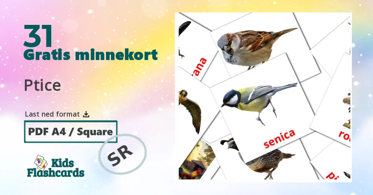 Ptice bildekort for barn på serbisk