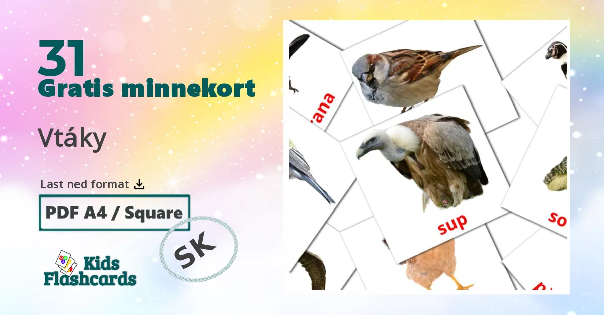 Vtáky bildekort for barn på slovakisk