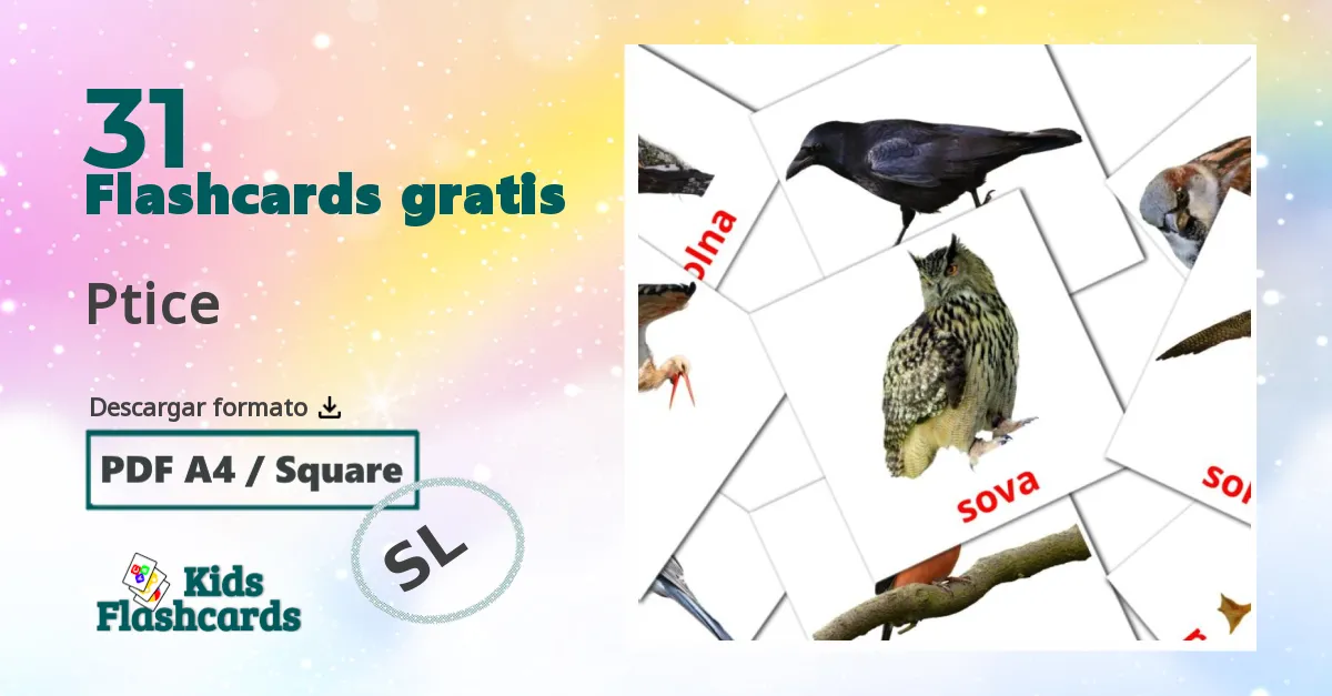 tarjetas didacticas de Aves