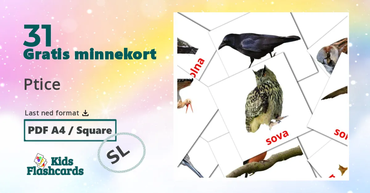 Ptice bildekort for barn på slovensk