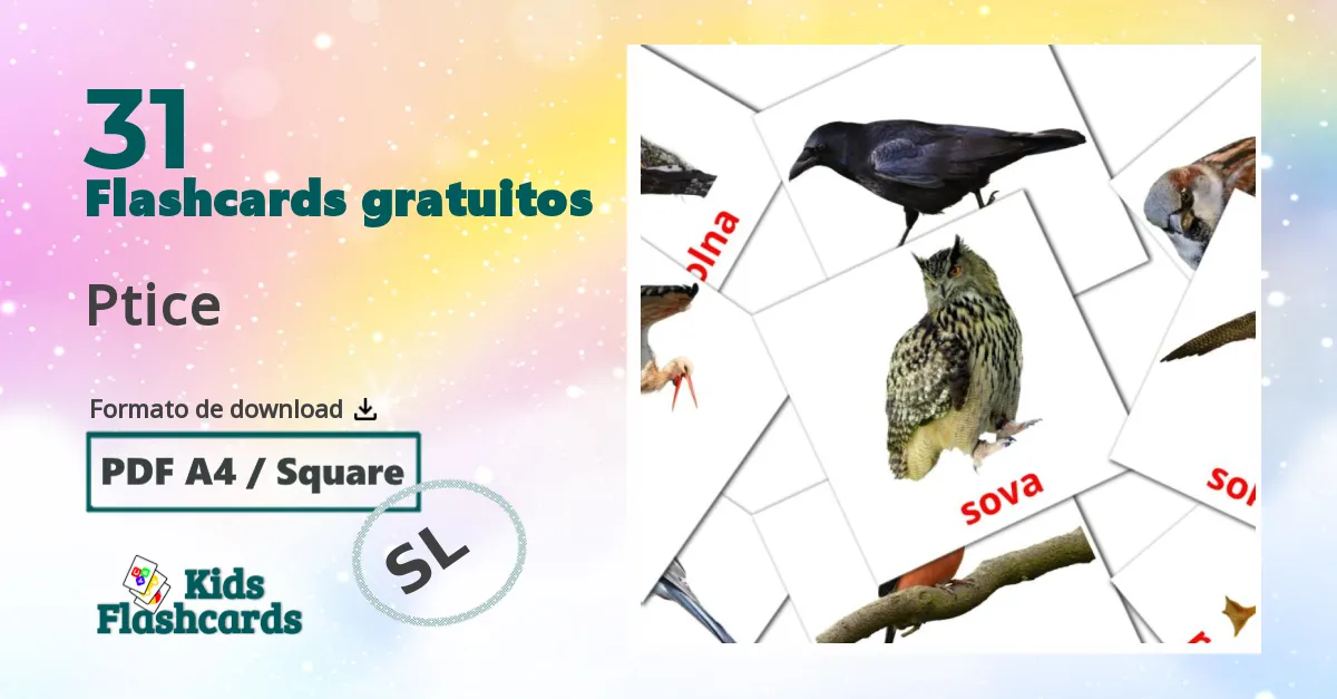 Flashcards de Pássaros