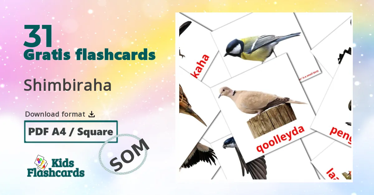 Fugle billedkort for børn