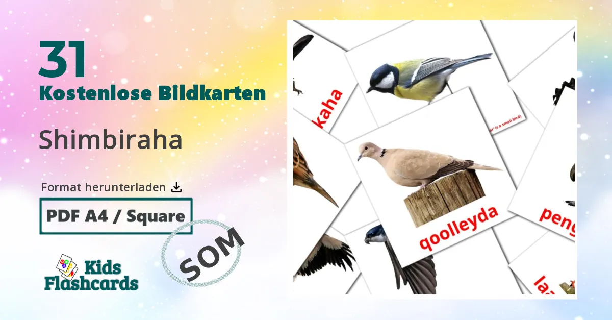 Bildkarten für Vögel