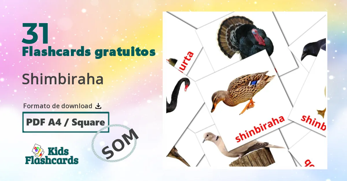 Flashcards de Pássaros