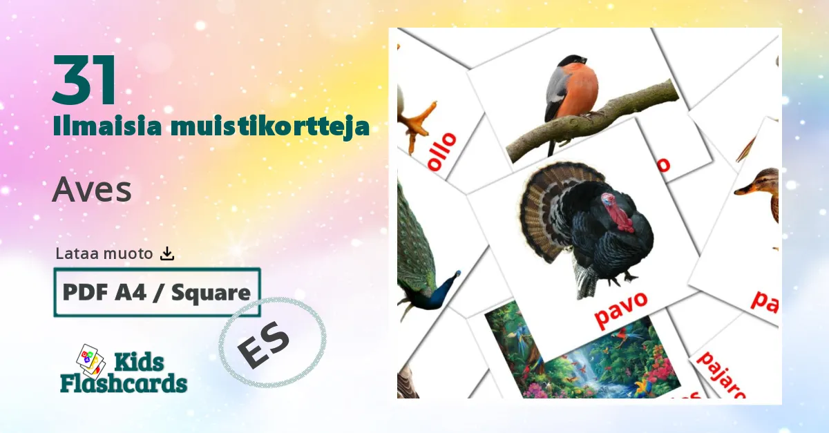 Aves – lasten kuvakortit espanjaksi sanastoon
