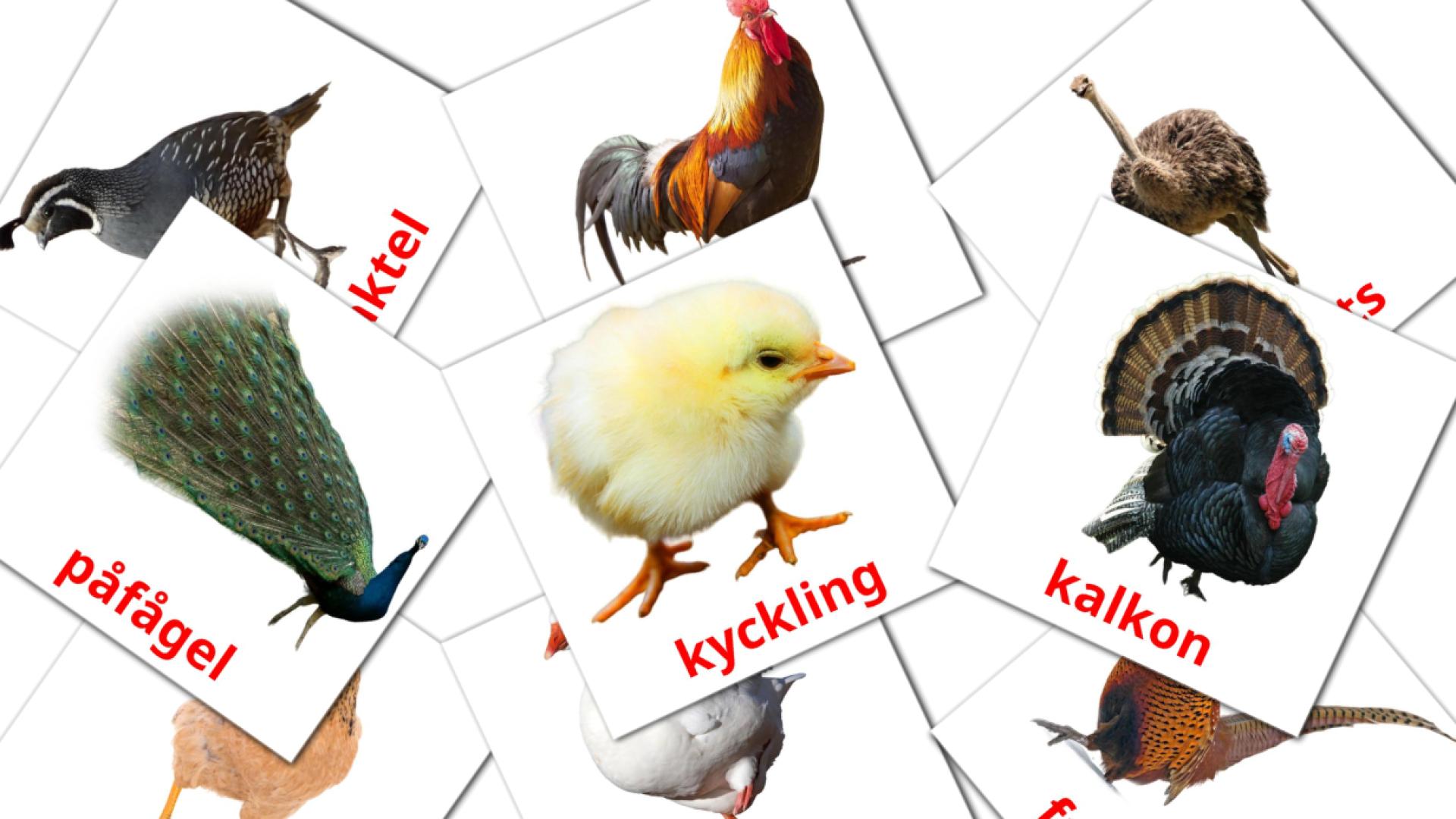 Fiches de vocabulaire suédoises sur fåglar