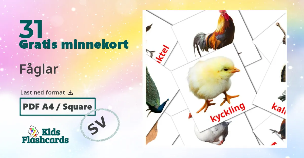Fåglar bildekort for barn på svensk