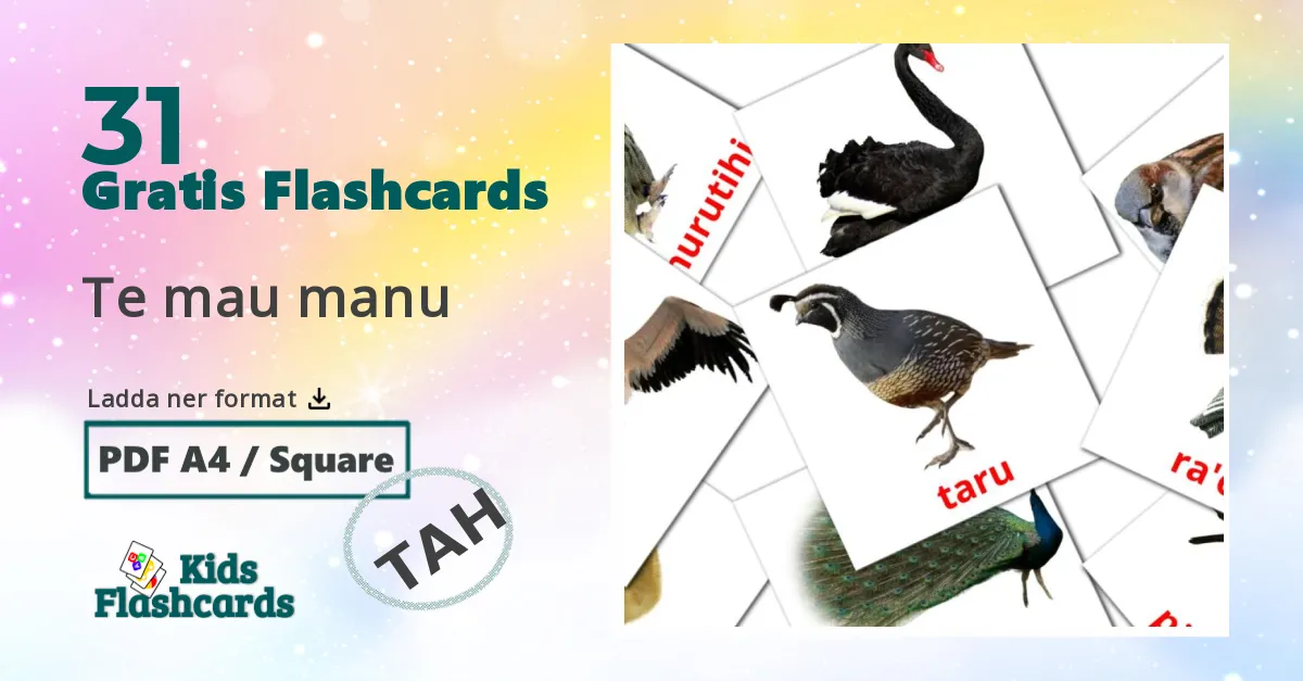 31 Te mau manu bildkort för barn