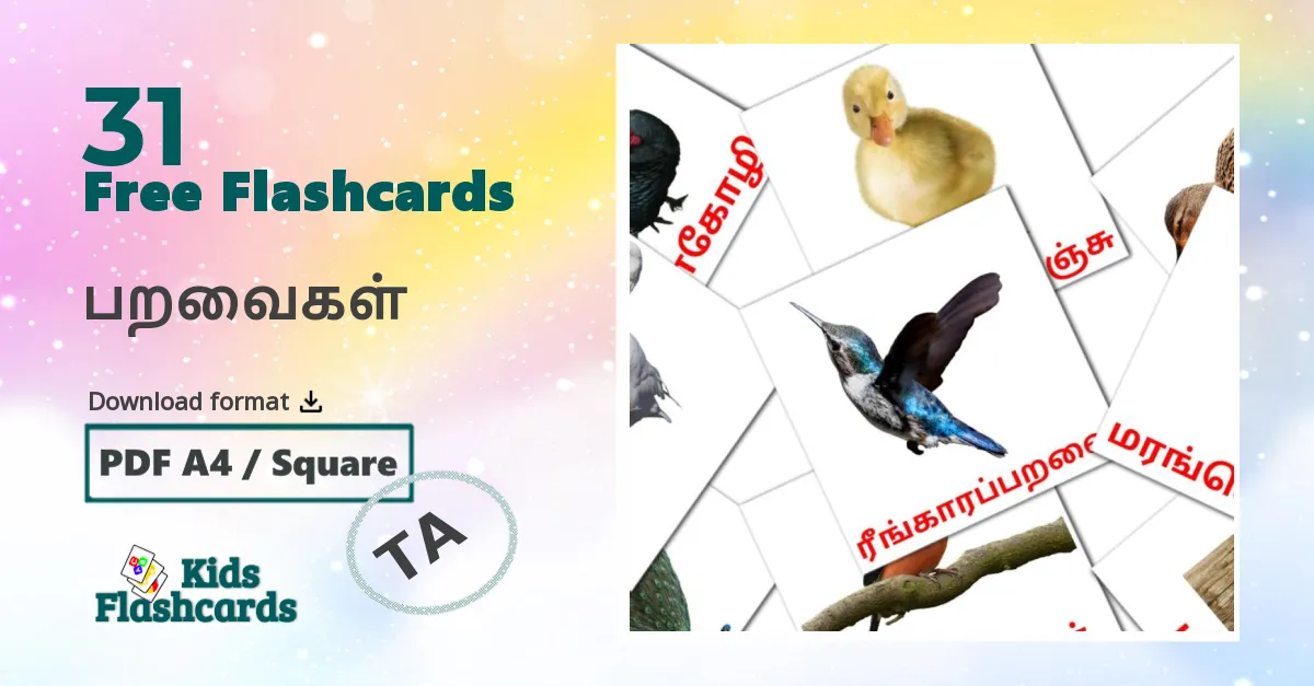 Birds flashcards