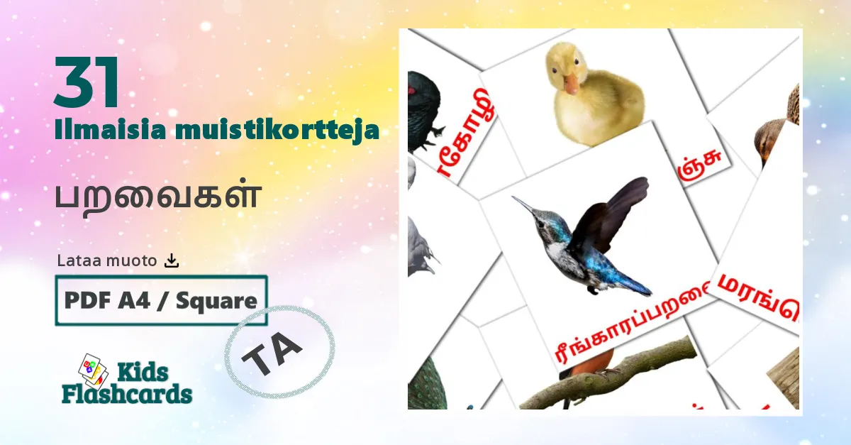 பறவைகள் – lasten kuvakortit tamilksi sanastoon