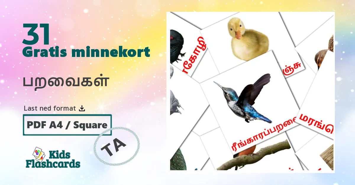 Fugler bildekort