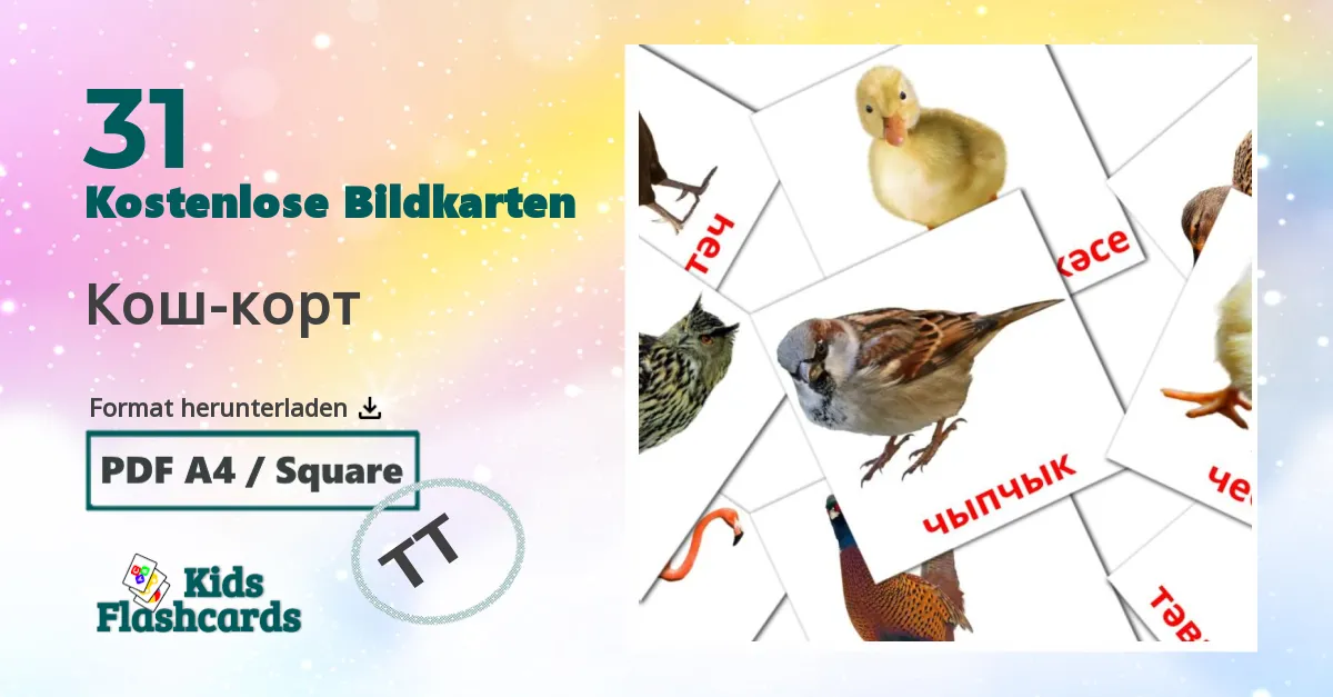 31 Bildkarten für Кош-корт