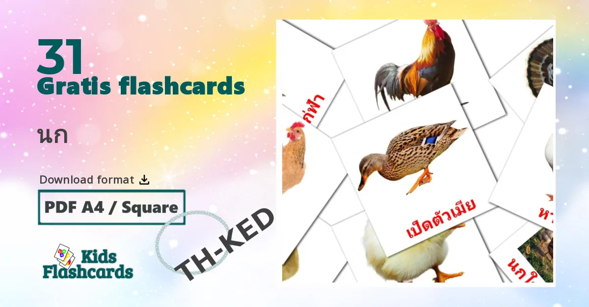 นก thai ordforråd billedkort for børn