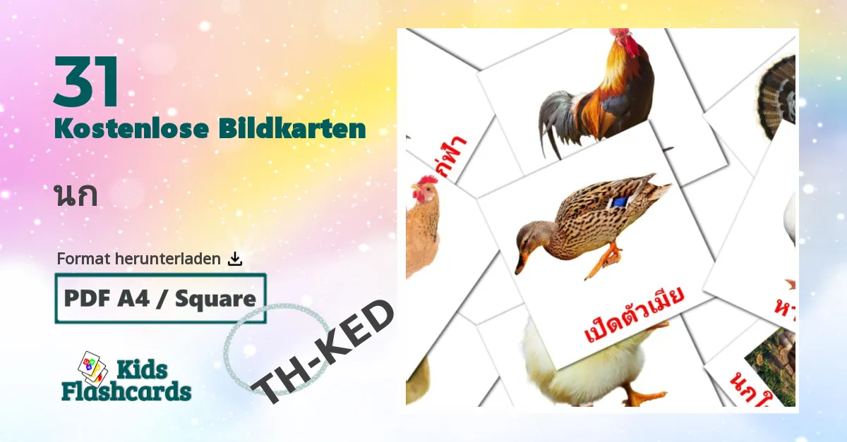 Bildkarten für Vögel