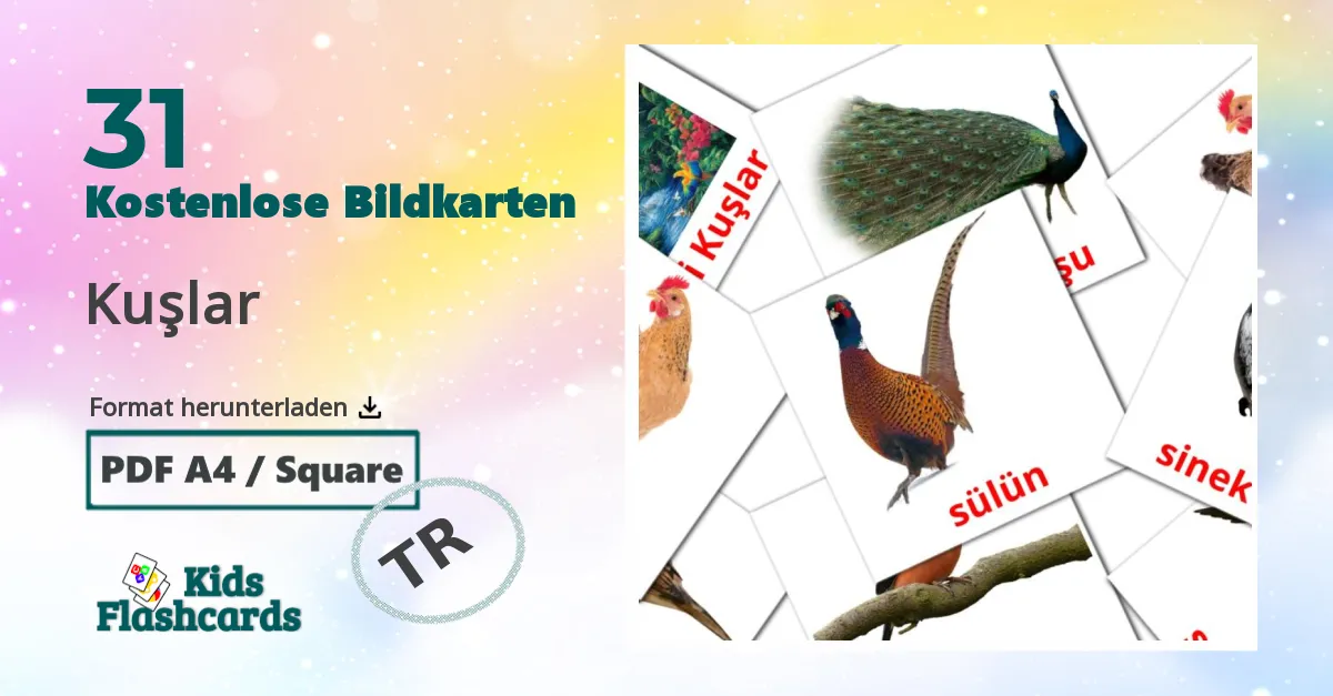 Bildkarten für Vögel