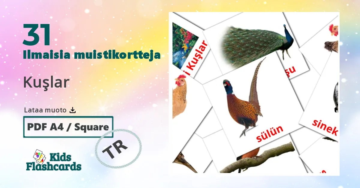 Kuşlar – lasten kuvakortit turkkiksi sanastoon