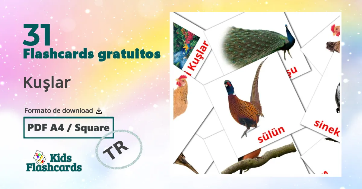 Flashcards de Pássaros