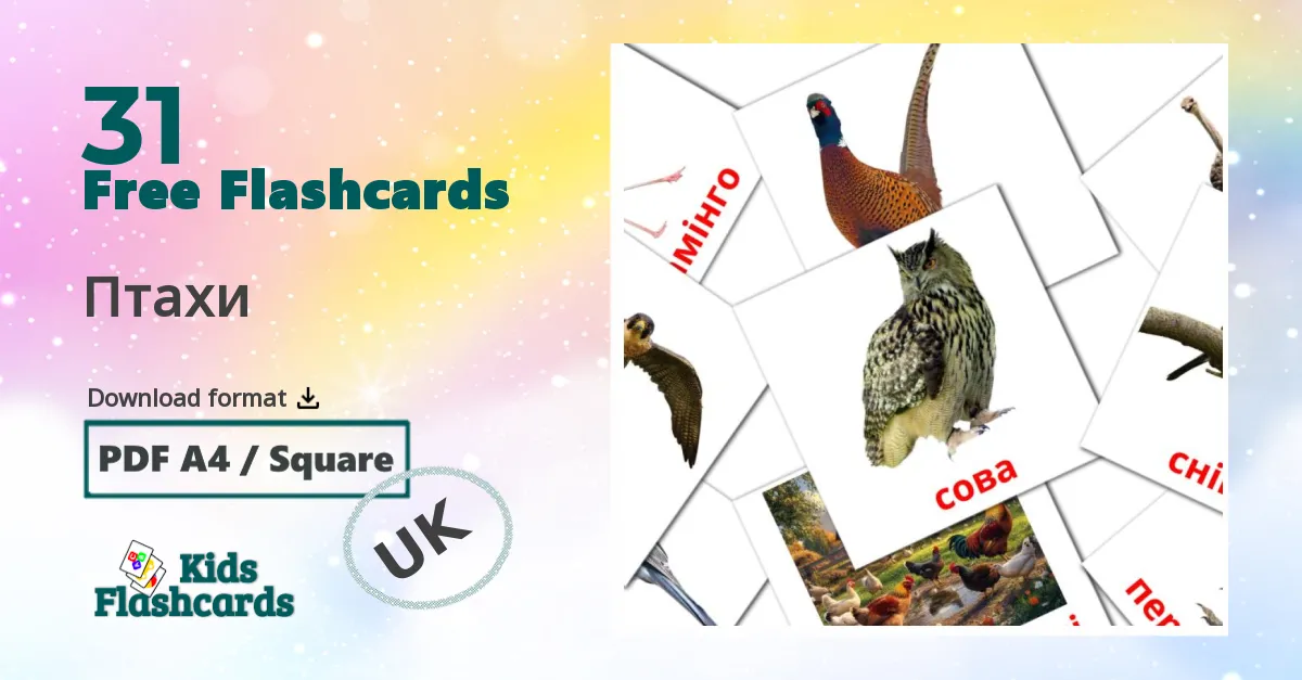 Птахи ukrainian vocabulary flashcards