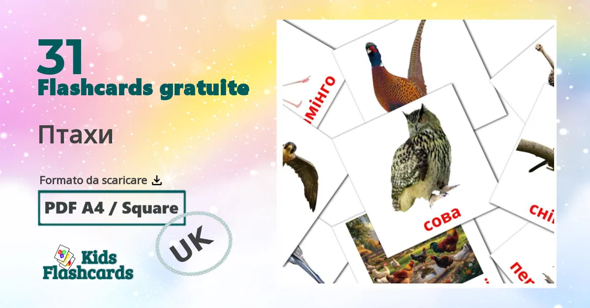 flashcards di Uccelli