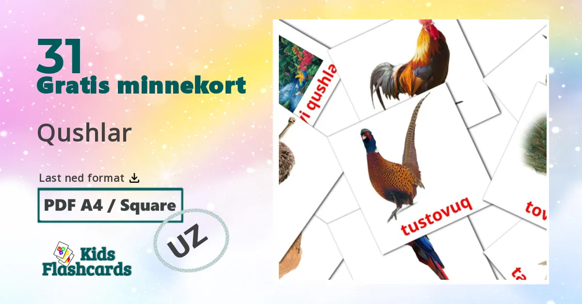 Qushlar bildekort for barn på uzbek