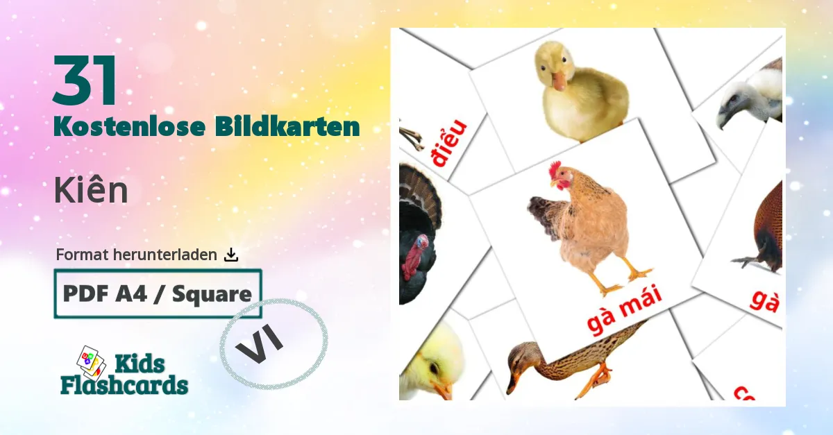 Bildkarten für Vögel