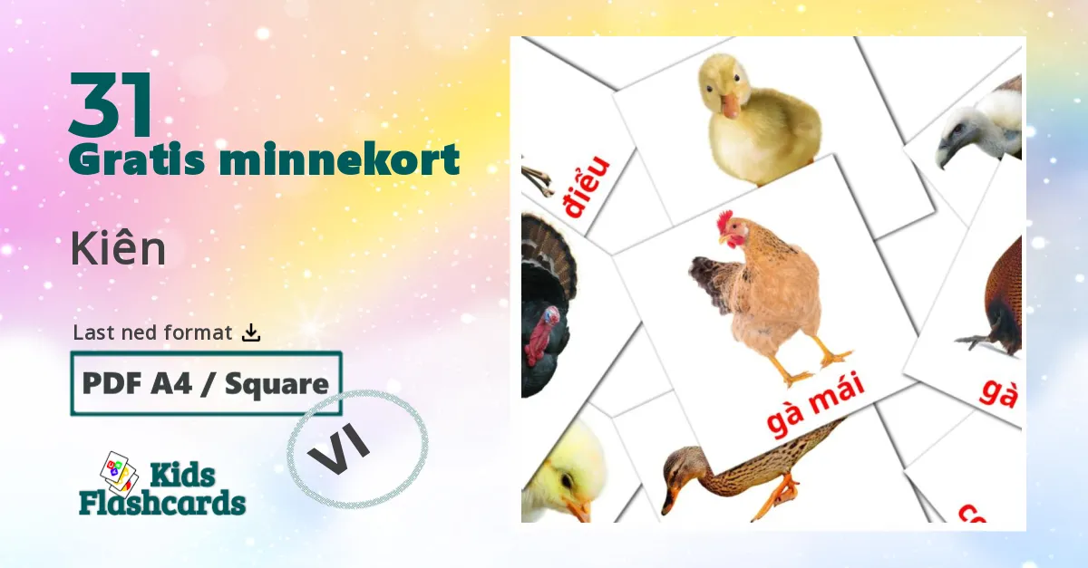 Kiên bildekort for barn på vietnamesisk