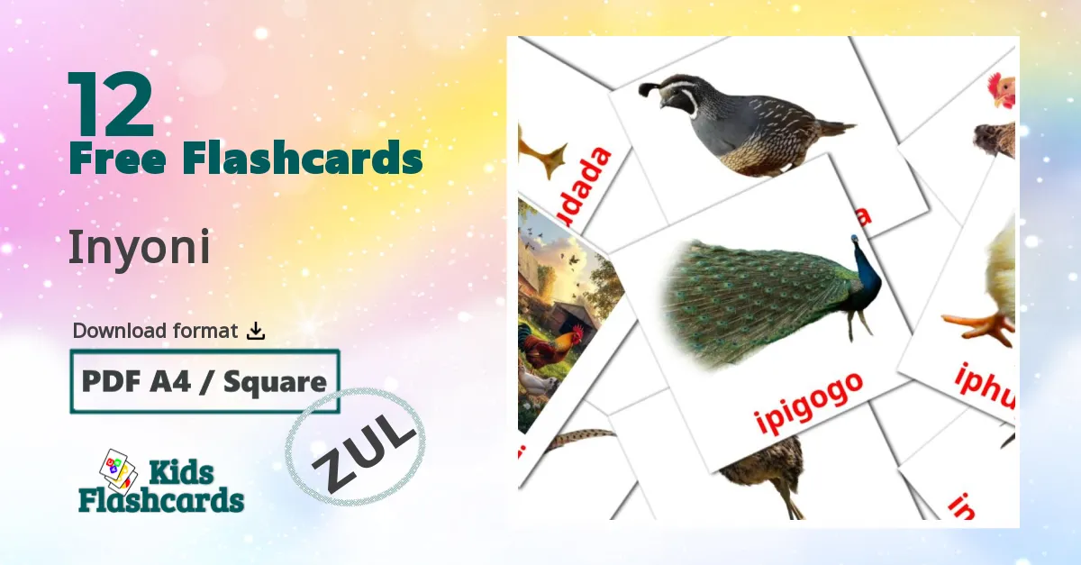 Inyoni zulu vocabulary flashcards