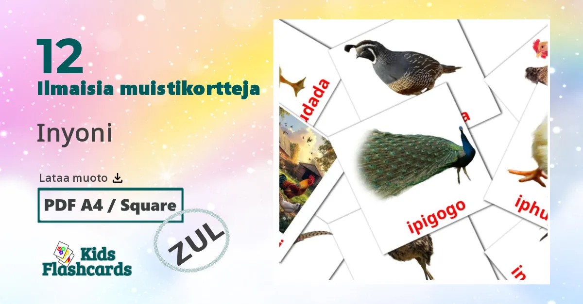 Inyoni – lasten kuvakortit zuluksi sanastoon